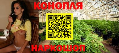 бошки Будённовск