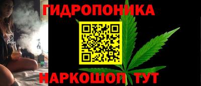 бошки Будённовск
