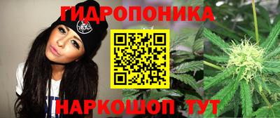 бошки Будённовск