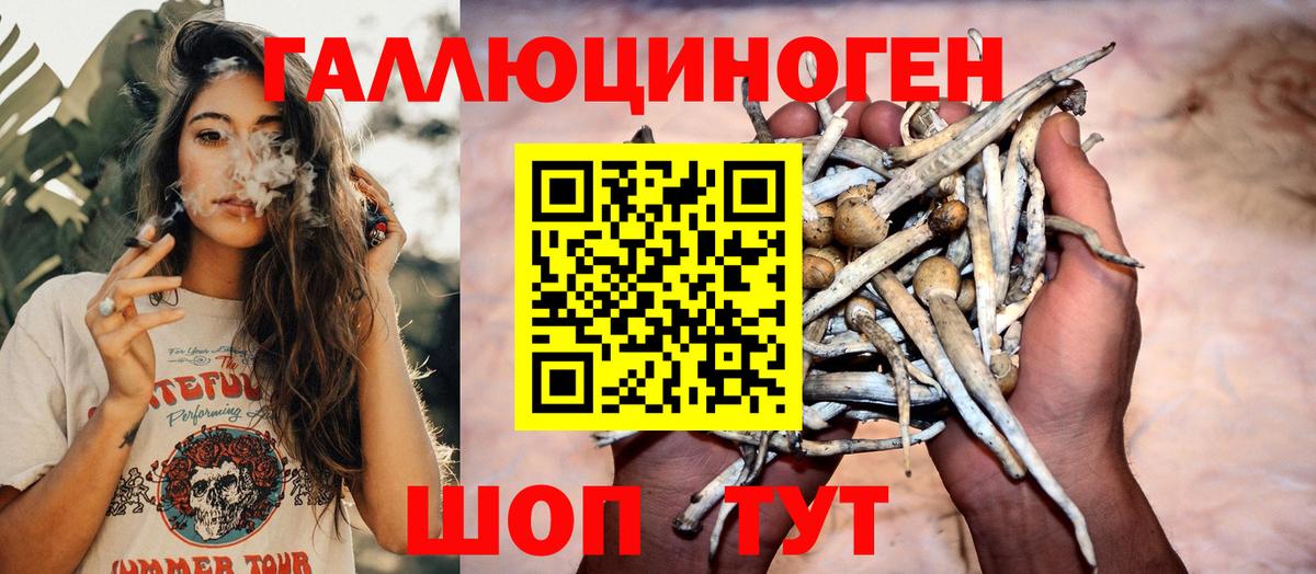 Нальчик  Галлюциногенные грибы мухоморы  Псилоцибиновые грибы Psilocybine cubensis  Вход с VPN 