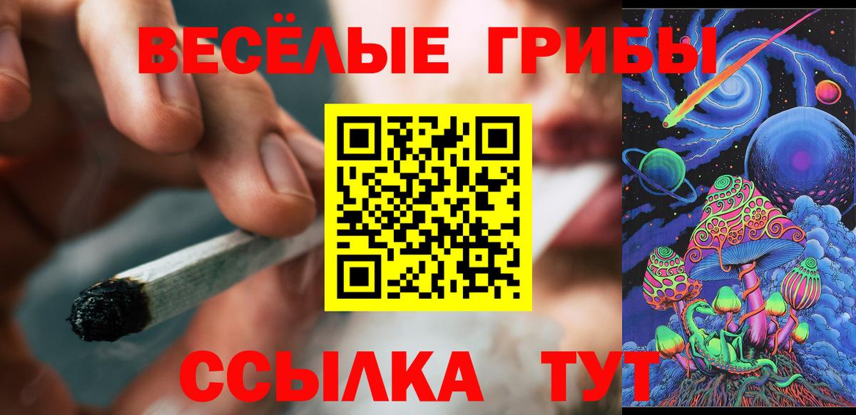Галлюциногенные грибы прущие грибы Нальчик